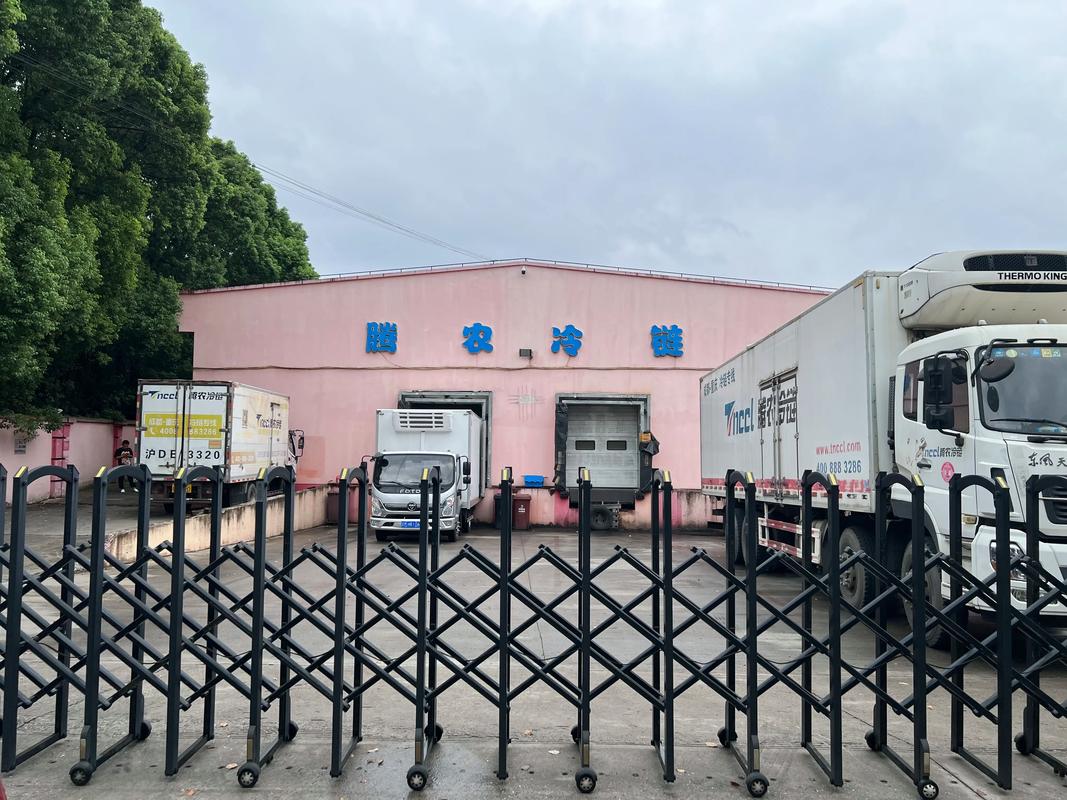 上海至台州冷链物流管理 打造高效、安全的冷藏仓储运输体系