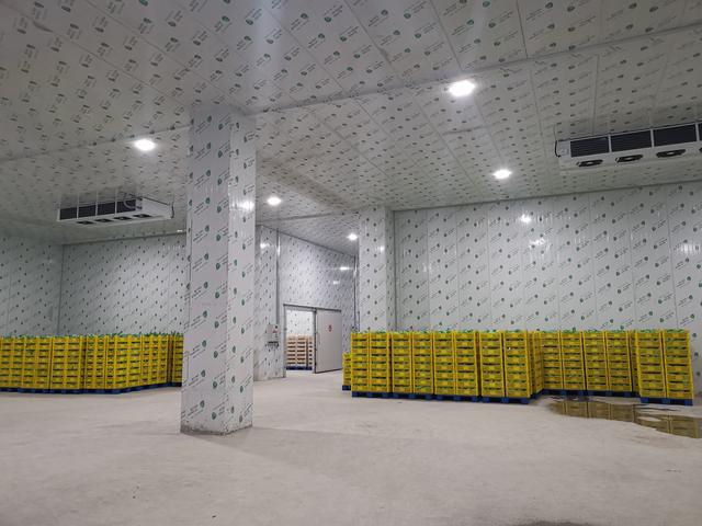 冷库在冷链物流中的核心作用 冷藏仓储的基石